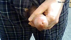 Open Fly Penis Play 2: Detailed Cock Exposure and Teasing Actions.
