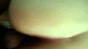 Stunning Latina with perfect white ass gets pounded hard with a messy creampie