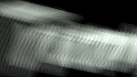 Chicks with Big Dicks Dive into Wild Anal Play Tonight