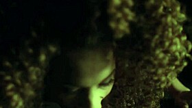 vina skyy asks, 'can you dominate me with that big cock?'