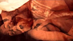 my vintage hairy secret life volume seven