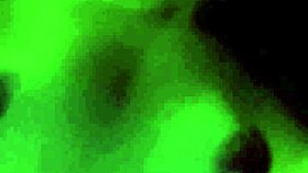 dazzlingfacegirl - fuck my hairy small 18+ pussy with your big cock