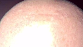 fanny's flashing her ass without panties on the street, wanna see?