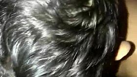 o diário de mamadas ii - sucking a follower