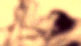 Vintage Erotic Art Collection!