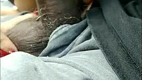 Damn, Check Out That Bomb Latina Head in a Florida Car!