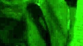 latina couple sucking monster cock in mexican blowjob scene