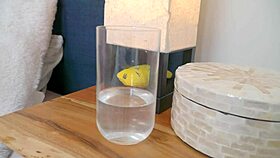 Big tits nympho masturbates to orgasm, eats cock, then gets fucked squirting nonstop 💦