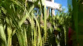 ela me fez de corno, deu pros caras na praia, unbelievable!