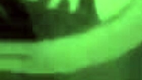 pornstars throw a wild college party in sims 4