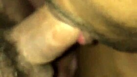 Chupeta Anal E Muita Curticao A Tres