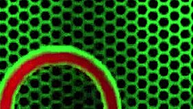 mature deauxma lifts her skirt to ride her big lovers cock with dirty talk