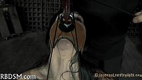 Taming a hot couple's feet with some rough fucking, you know?