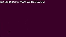 Rodeo Adventure With Seductive Adult Vault Girls In Anime Style