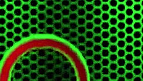 Chesty Mexican Beauty Gabby Quinteros Feels Intense Pleasure