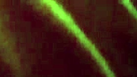 i gave her a blowjob