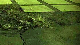 Bound outdoors in rough bondage domination