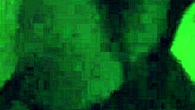 sandy cortez's public suck in the crossing