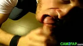 Sucking Free Gay Man Porn Video With Intense Action