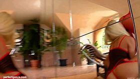 I watch Zafira and Clara G fisting each other passionately.