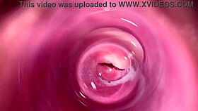 Camera dives deep into Mia's creamy tight pussy for a close view