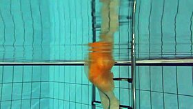 Nastya Strips and Shows Body in Pool