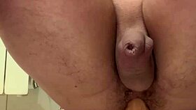 continuing the training session for ass prolapse with toys and dildos