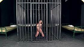 Bonny bon and angelic diamond bound for intense ass licking and squirting