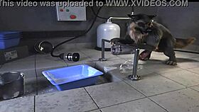 H0rs3 compilation shows wild machine action in furry scenes