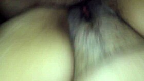 Europa from Brazil visits Florida for cultural exploration