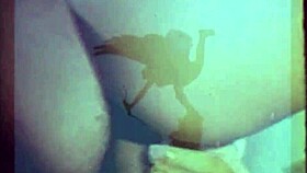 Is vintage british taboo too intense?