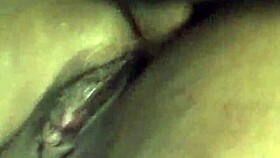 डोमिनिकन