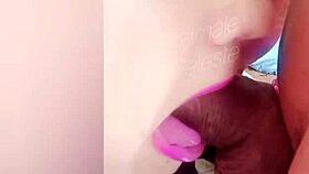 Shemale Celeste is sucking a big black cock.