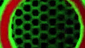 vicky vette strips her dress and sucks a big cock