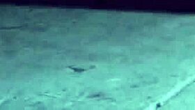 want to see that huge black cock in the teen's mouth?