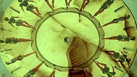 Vintage pornostalgia with hairy cartoon