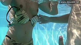 Hardcore Underwater Blowjob With Minnie Manga!