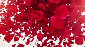 Erotic yoga with Alexis Crystal 😍