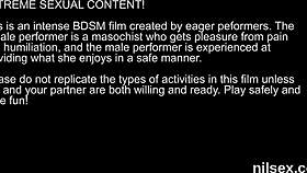 peculiar kitten was brought in anal madhouse for awkward treatment i feel so weird.