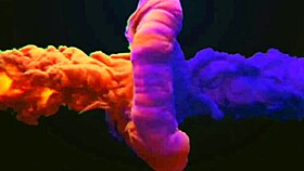 latina amateur sucks clit deliciously in homemade scene