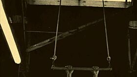 My secret life top twenty vintage swingers with hairy beavers and group ass play