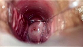 Anime girl reaches vaginal orgasm in hentai