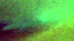 ebony harley rides bbc then doggystyle