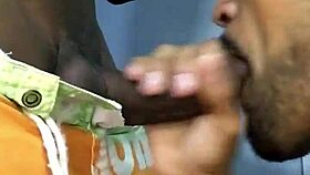 Blowjob and doggy style sex with an interracial couple