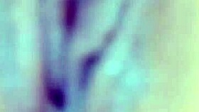 latina milf with huge ass on webcam