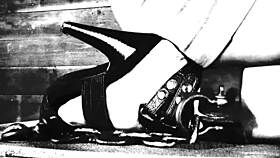 caged beauty prepares to perform for stud in wild competition