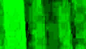 Videos exploring sadomasochism practices