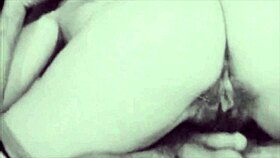 I love these vintage blowjobs from my secret life, the erotic confessions are so steamy!