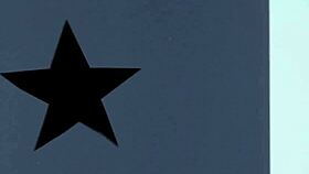 Black beauty enjoys a big black cock