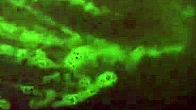 Mzkiwi Tries Anal For The 1st Time